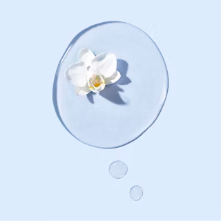 Timeless Ambition Serum - Ingredients Image