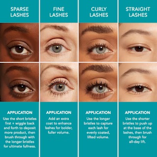 LLVM Gallery Lash Application Chart