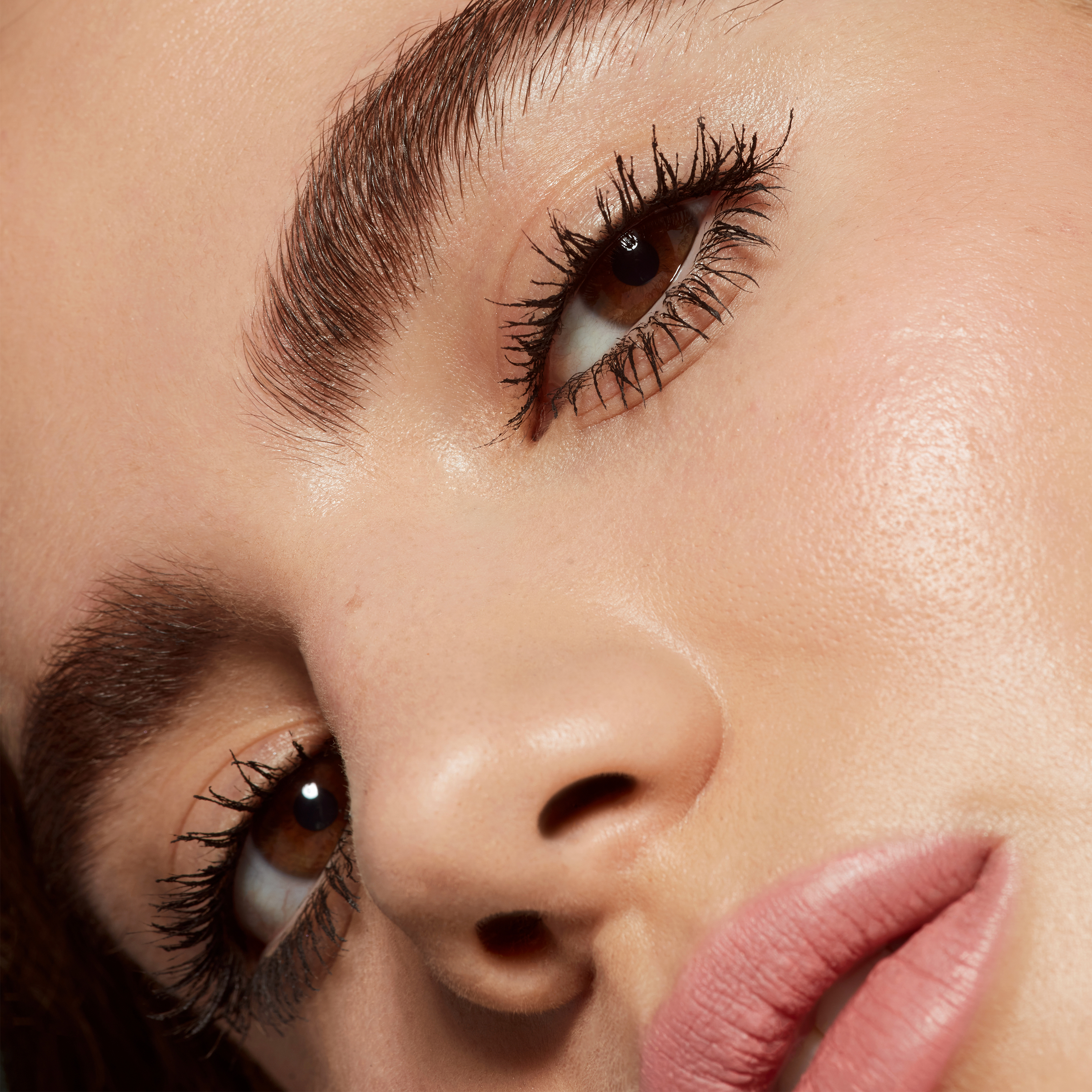 Evergreen Homepage | Collection Grid Tile Image File [Eyes]