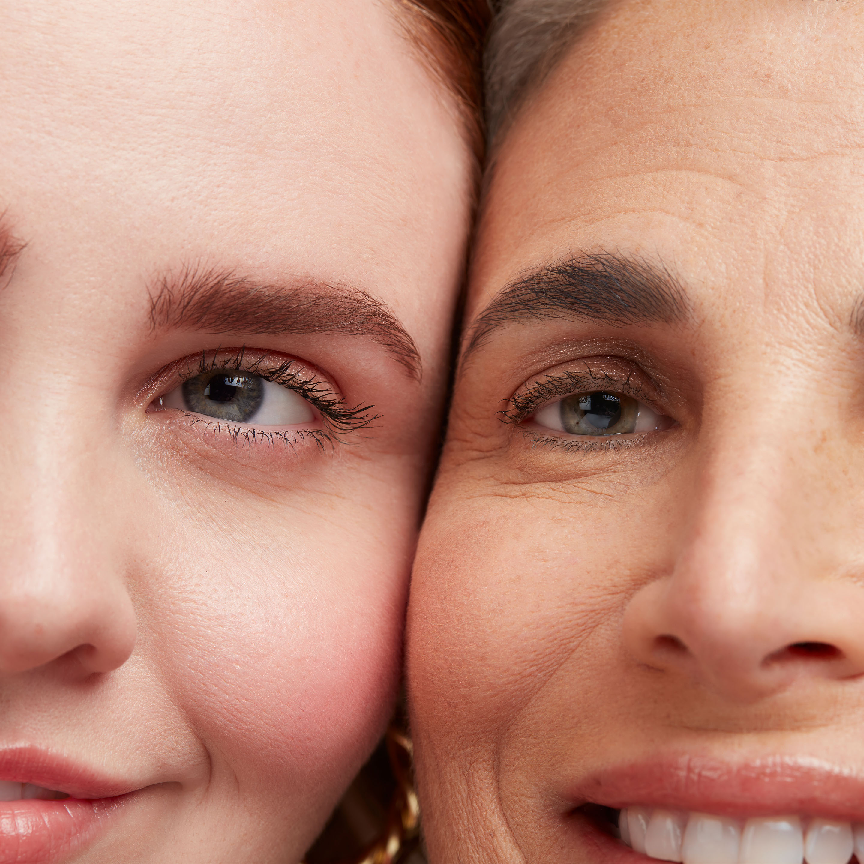 Evergreen Homepage | Collection Grid Tile Image File [Brows]